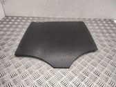 Rear door window glass