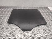 Rear door window glass
