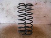 Front coil spring