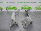 Bisagras del capó/tapa del motor