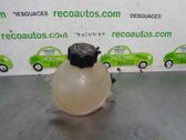 Fuel expansion tank