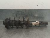 Front shock absorber with coil spring