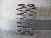 Muelle espiral delantero