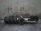 Amortiguador delantero con muelle espiral