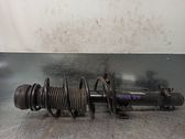 Amortiguador delantero con muelle espiral