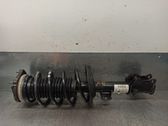 Amortiguador delantero con muelle espiral