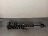Front shock absorber with coil spring