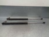 Tailgate/trunk strut/damper