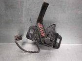 Tie down hook / loop