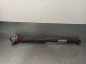 Stoßdämpfer hinten