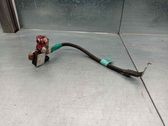 Engine installation wiring loom