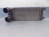 Intercooler radiator