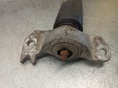 Rear shock absorber/damper