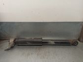 Rear shock absorber/damper