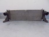 Intercooler radiator