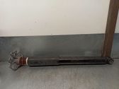 Rear shock absorber/damper