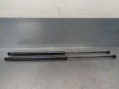 Tailgate/trunk strut/damper