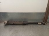 Stoßdämpfer hinten