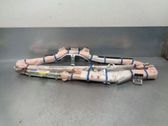 Front door airbag