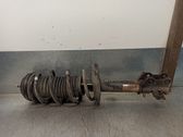 Amortiguador delantero con muelle espiral