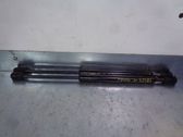 Tailgate/trunk strut/damper