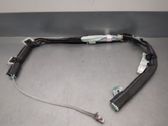 Front door airbag