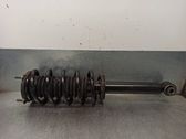 Front shock absorber with coil spring