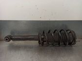 Front shock absorber with coil spring