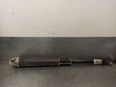 Stoßdämpfer hinten