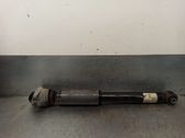 Stoßdämpfer hinten