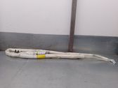 Airbag de la puerta delantera
