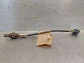 Lambda probe sensor
