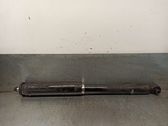 Rear shock absorber/damper