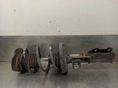 Front shock absorber with coil spring