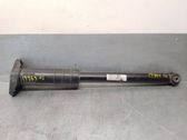 Rear shock absorber/damper