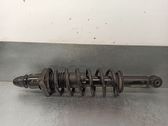 Stoßdämpfer hinten