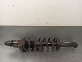 Stoßdämpfer hinten