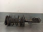 Amortiguador delantero con muelle espiral