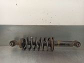 Rear shock absorber/damper