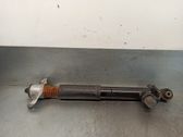Stoßdämpfer hinten
