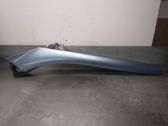 Dashboard trim
