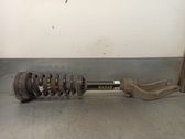 Amortiguador delantero con muelle espiral