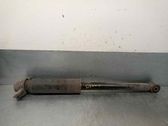 Rear shock absorber/damper