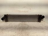 Radiador intercooler