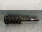 Amortiguador delantero con muelle espiral