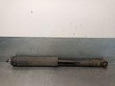 Stoßdämpfer hinten