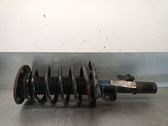 Amortiguador delantero con muelle espiral