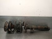 Front shock absorber with coil spring