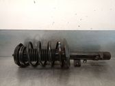 Amortiguador delantero con muelle espiral