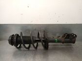 Amortiguador delantero con muelle espiral